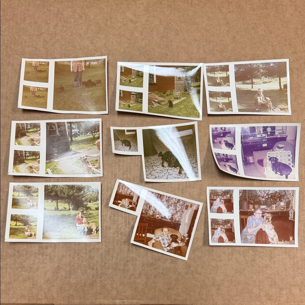 Vintage Photo Collection